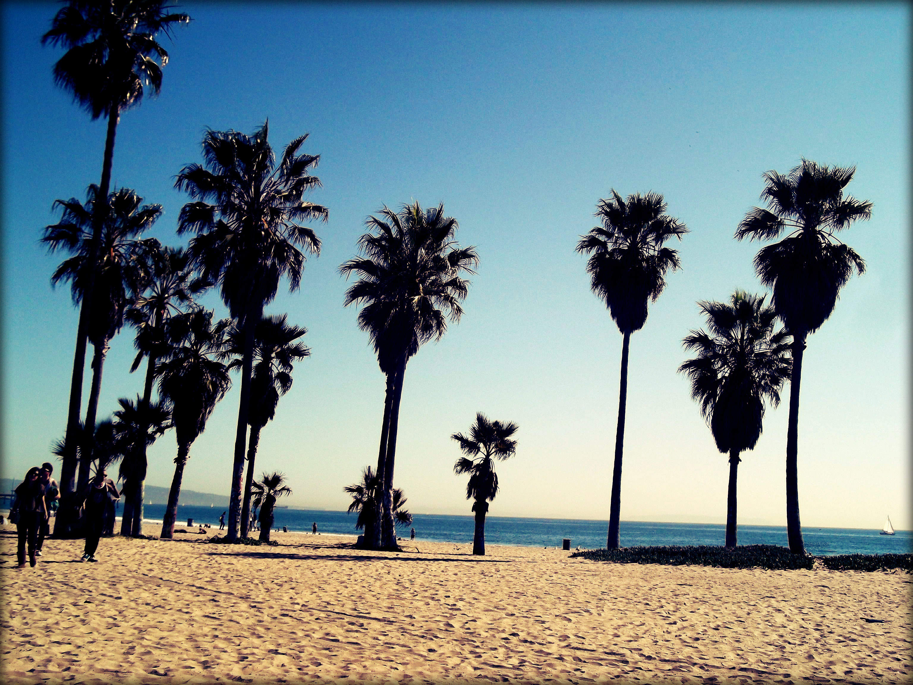 venice beach. i heart you. Big Cities. Bright Lights.