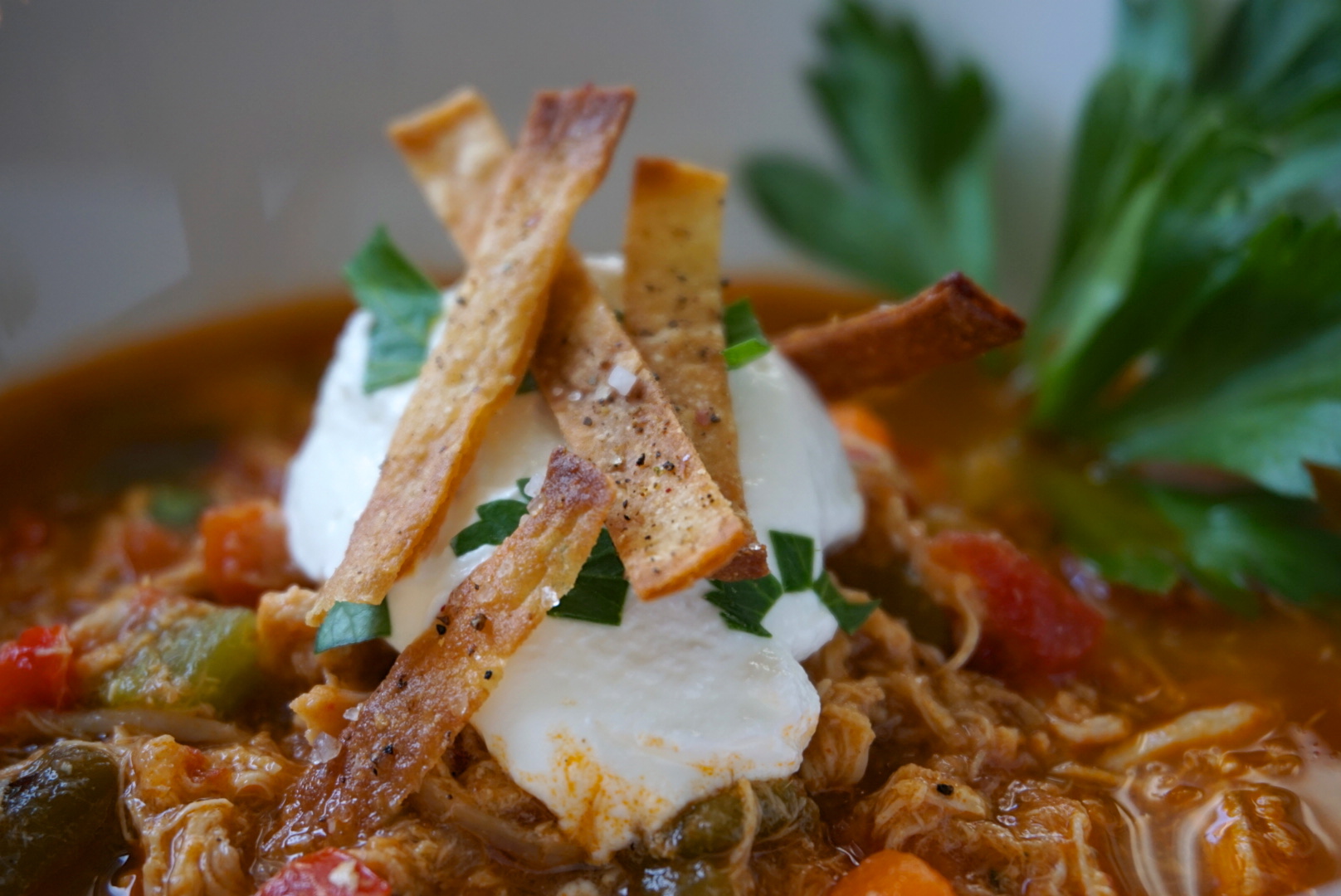 Chicken Green Chili Tortilla Soup