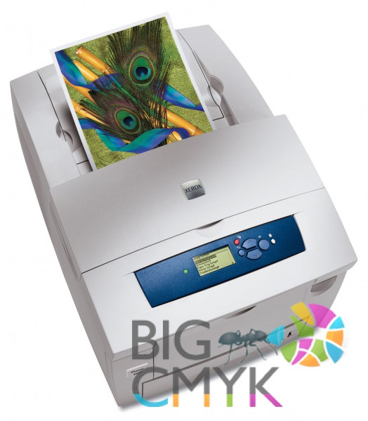Xerox Phaser 8560DN (8560_AWDN) купить по низкой цене с доставкой по