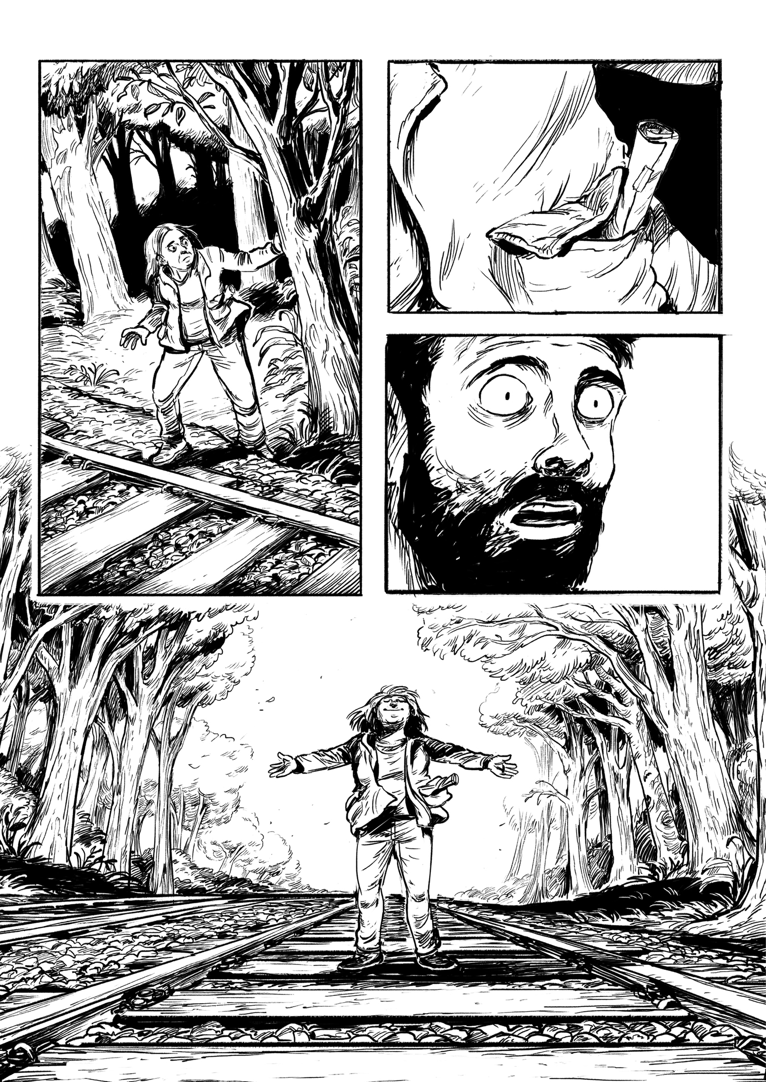 The Return of the Honey Buzzard : de Jongh, Aimée: Amazon.ca:.