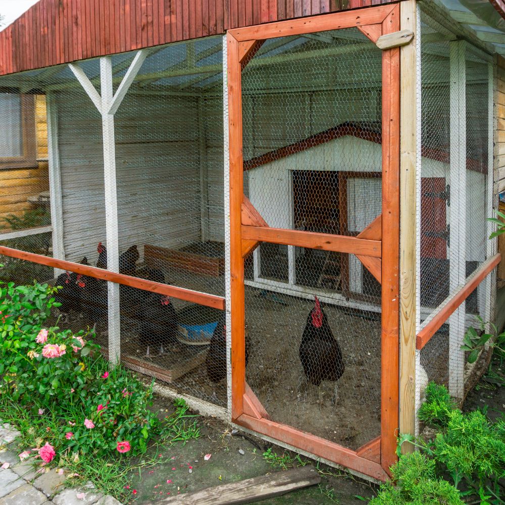 Chicken Coops 8×16 Big Creek Structures