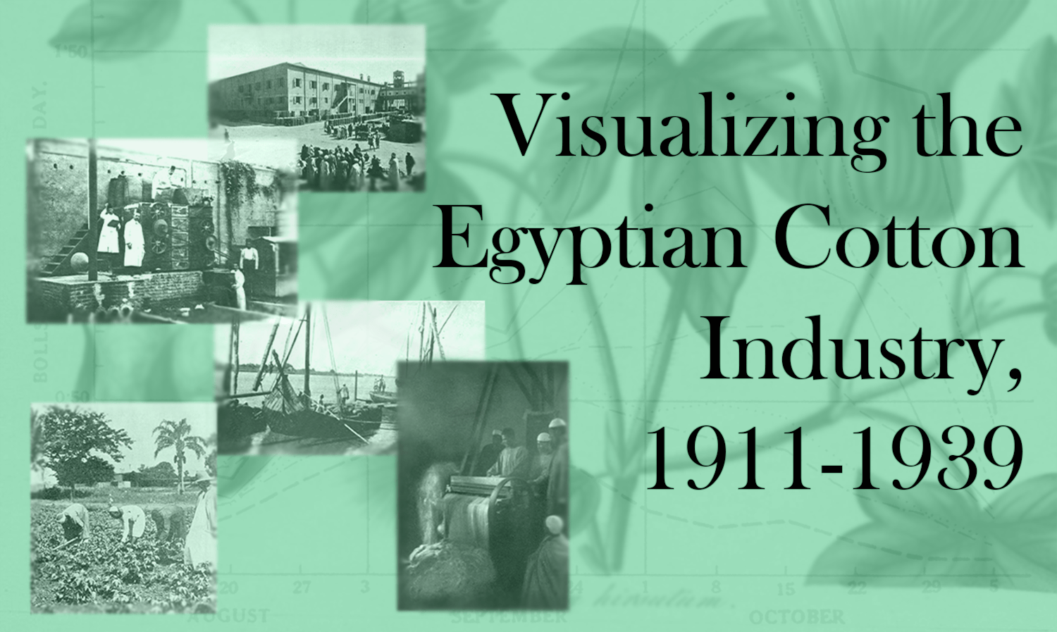 Visualizing the Egyptian Cotton Industry, 19111939 Duke Rhodes iiD