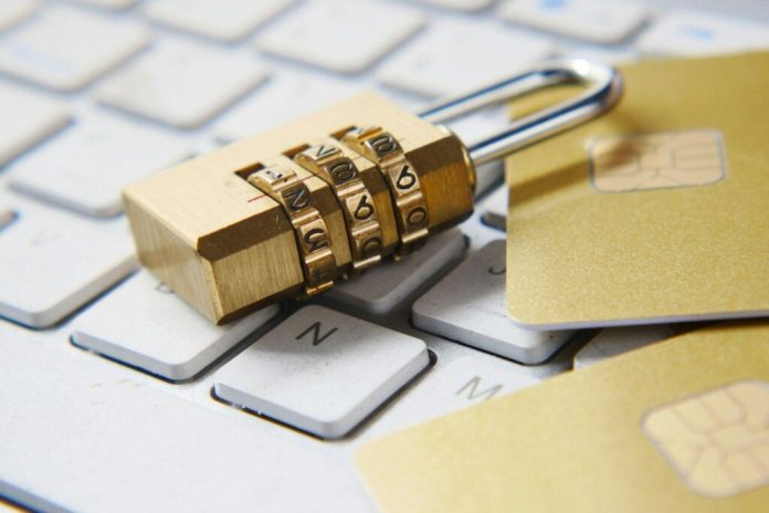 Knowledge Safety Challenges in Embedded Methods for Massive Knowledge Functions
