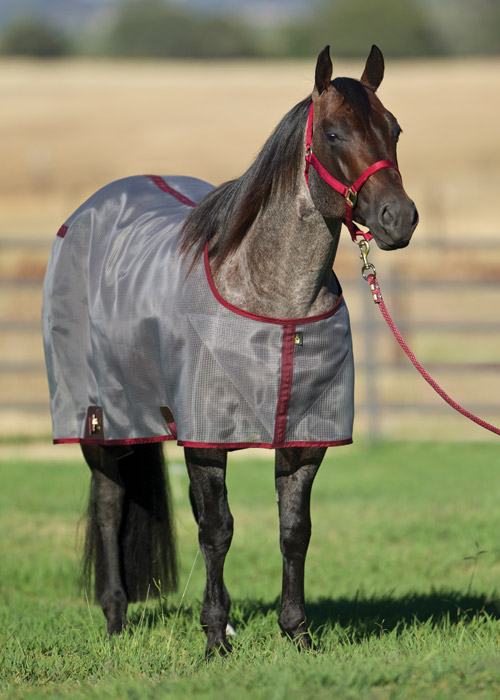 Nylon Mesh Fly Sheet Big D Products