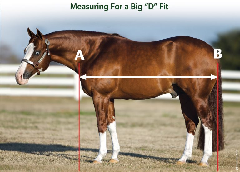 Customization Big D Products