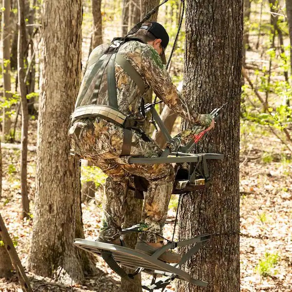Are Climbing Tree Stands Still Popular? Big Deer