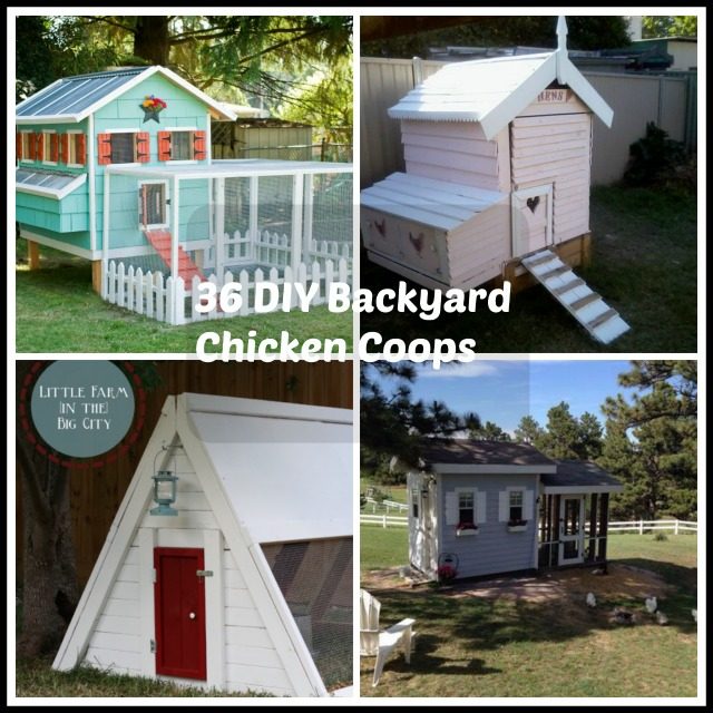36 DIY Backyard Chicken Coops