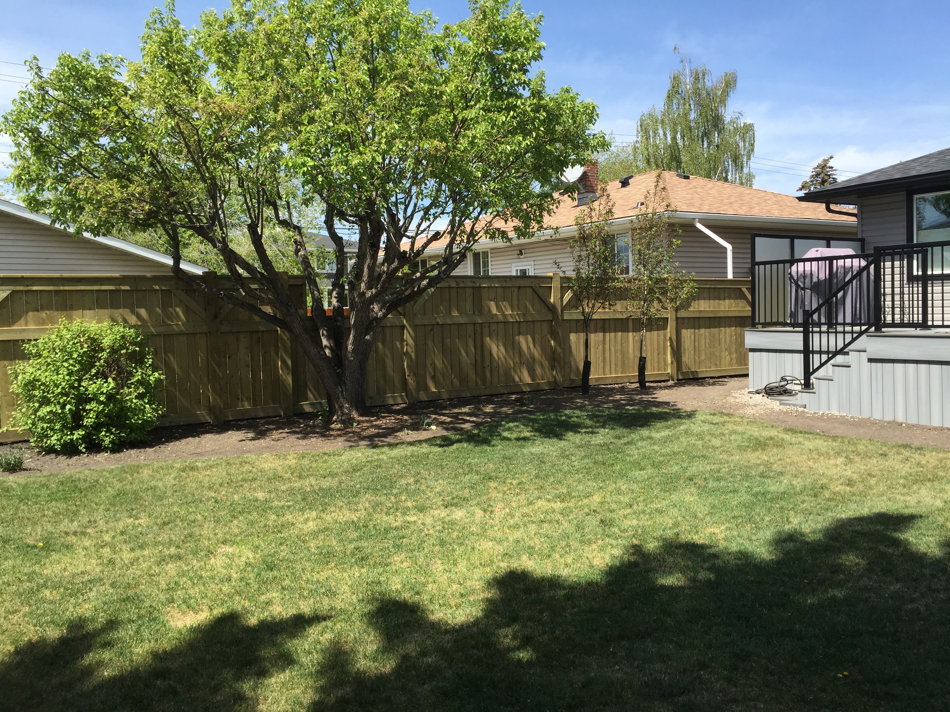 Fences Big Dog Decks