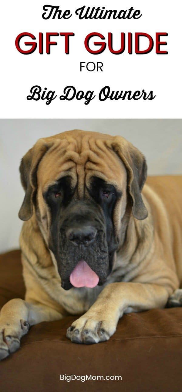 The Ultimate Holiday Gift Guide For Big Dog Owners