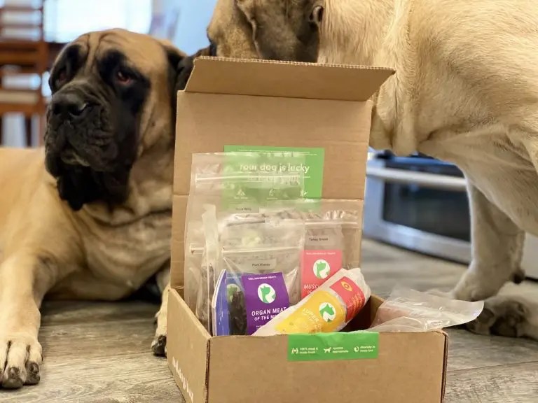 Real Dog Box Review What Dog Owners Need To Know [VIDEO]