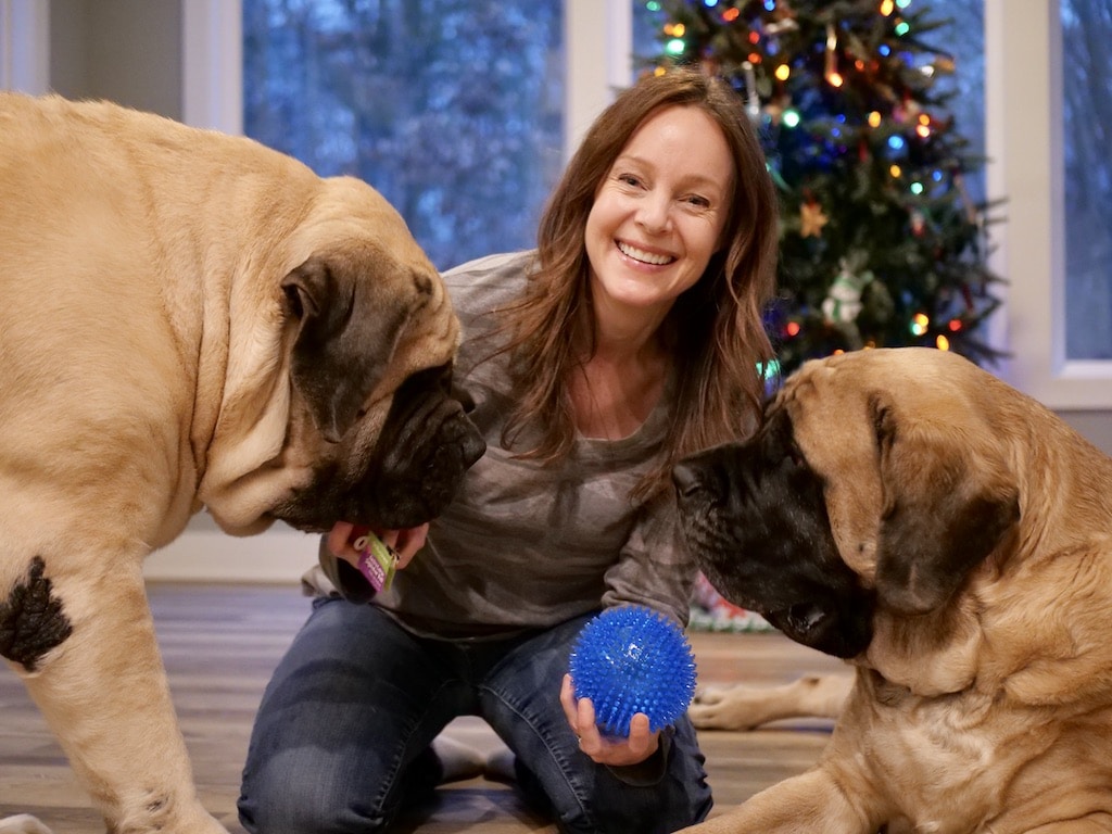 Gift Guide For Large Dogs Top 13 Gifts Your Big Dog Will LOVE!