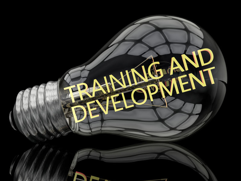 Carpet / Cleaning Service Big Dog Restoration