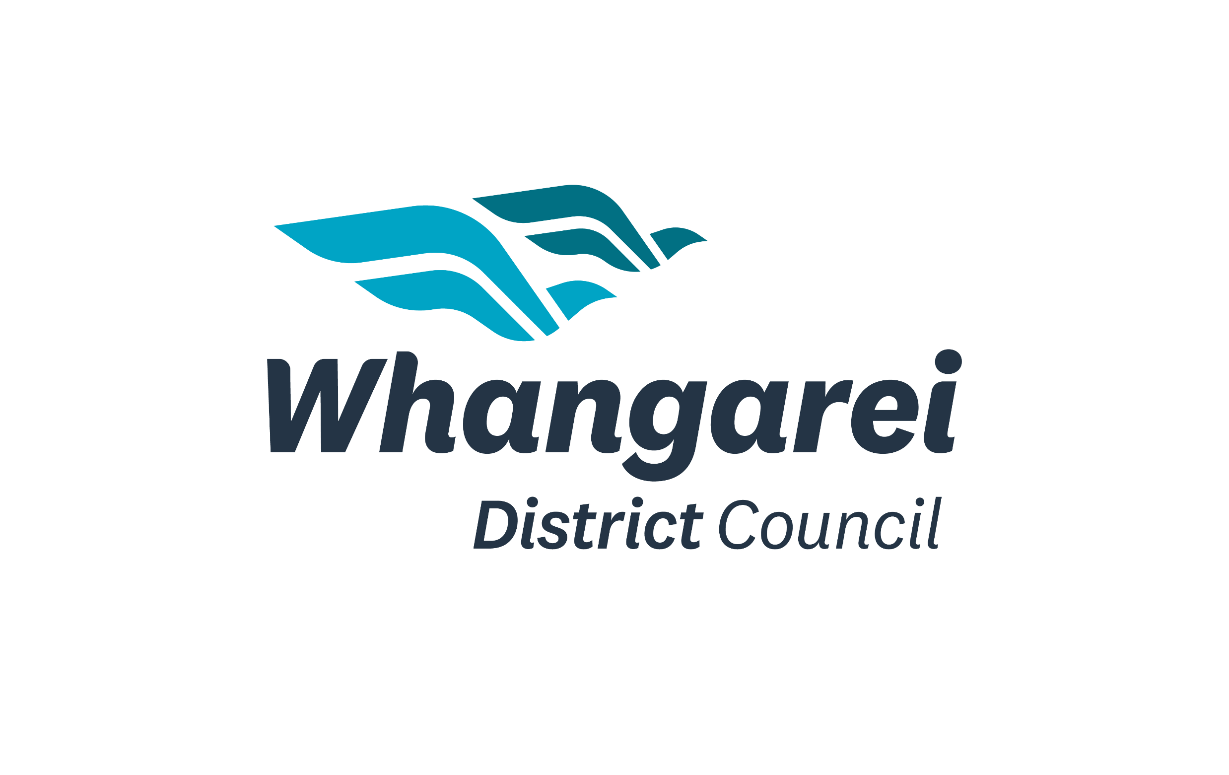 Whangarei District Council Branding bigfish