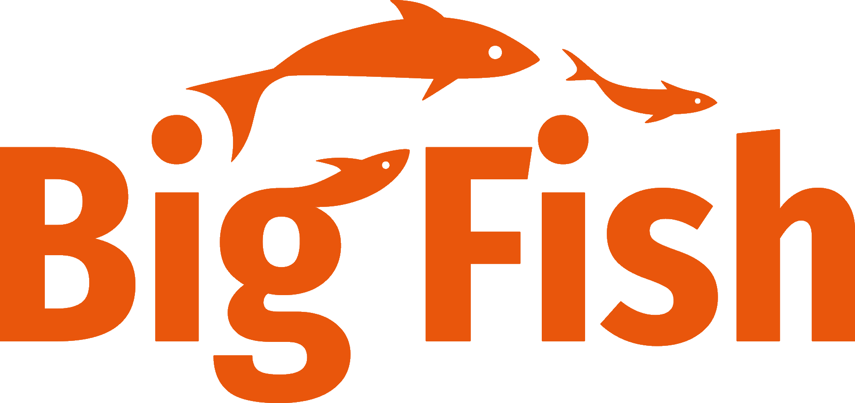 Home BigFish Card Game BigFish