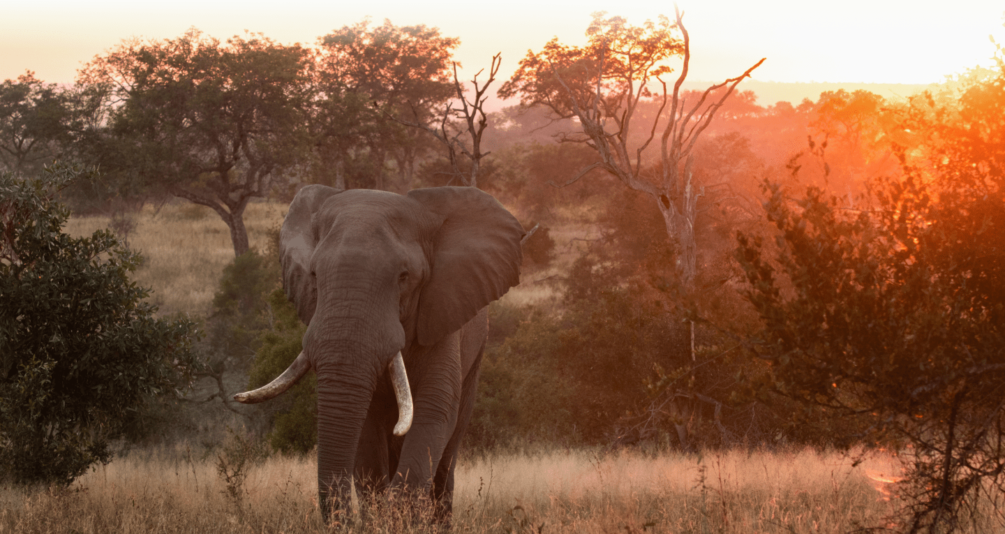 Big Five for Life Methodiek Haal je doelen met bewezen coaching