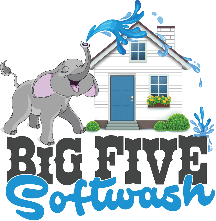 House Washing Service, Exterior House Cleaning Bluffton & Ridgeland