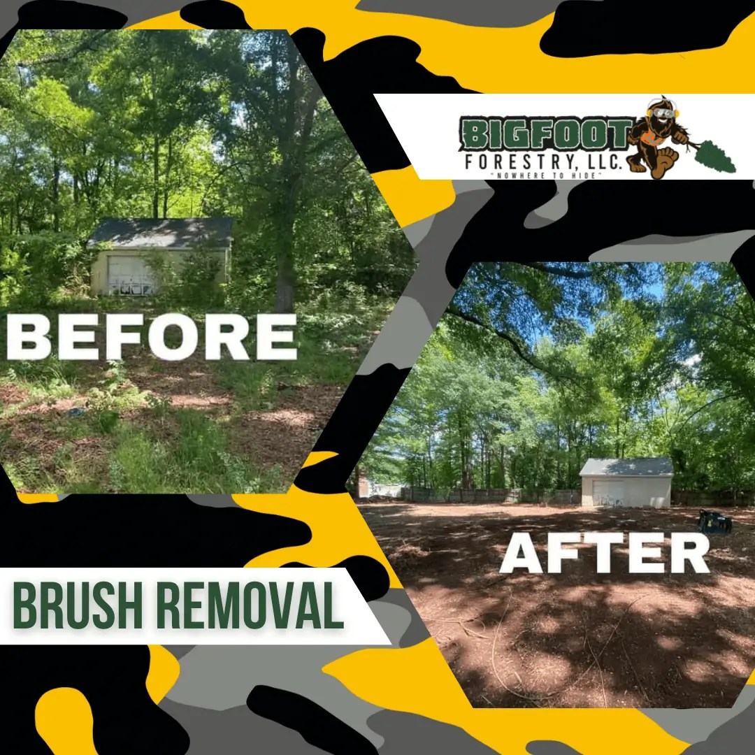 Expert Land Clearing Services Forest, Brush & Excavation Bigfoot