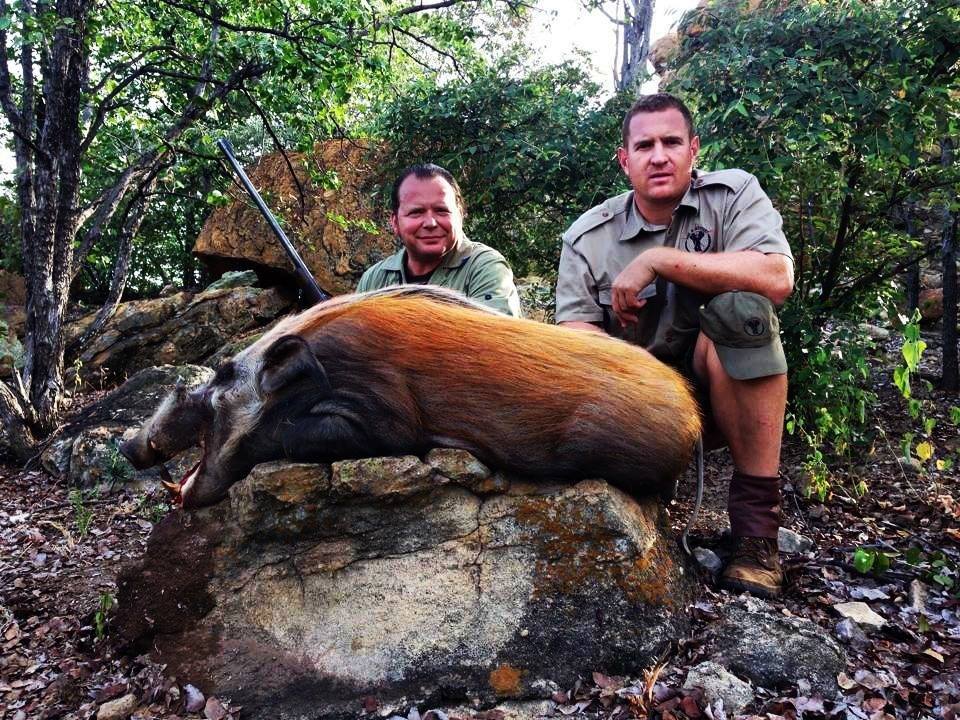 African Plains Game Hunting Big Game Hunting Adventures