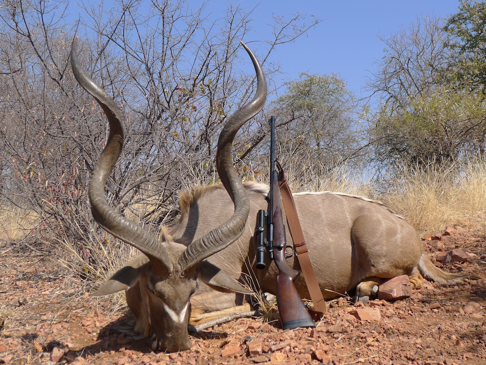 Best Hunting In South Africa at Helen Snyder blog