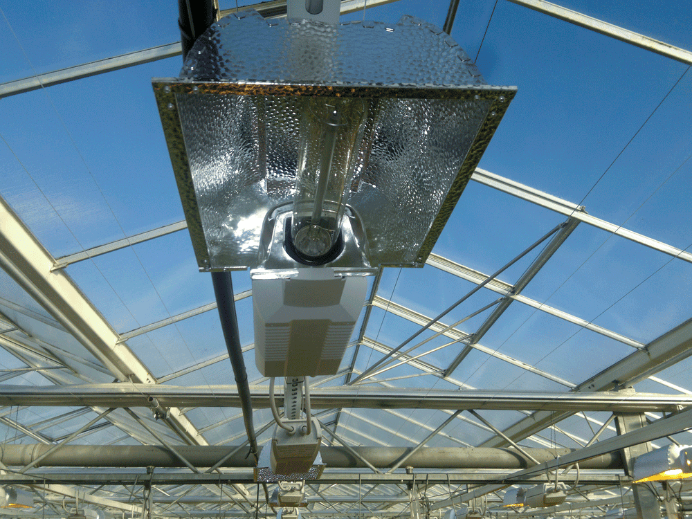 4 of The Best Greenhouse Lights 2023 Full Price Review