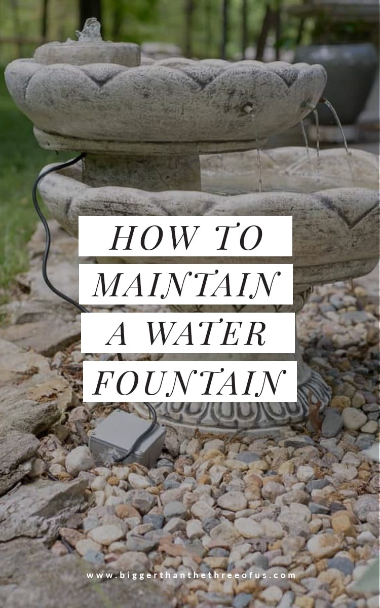 How to Keep Water Fountain Water Clean Bigger Than the Three of Us