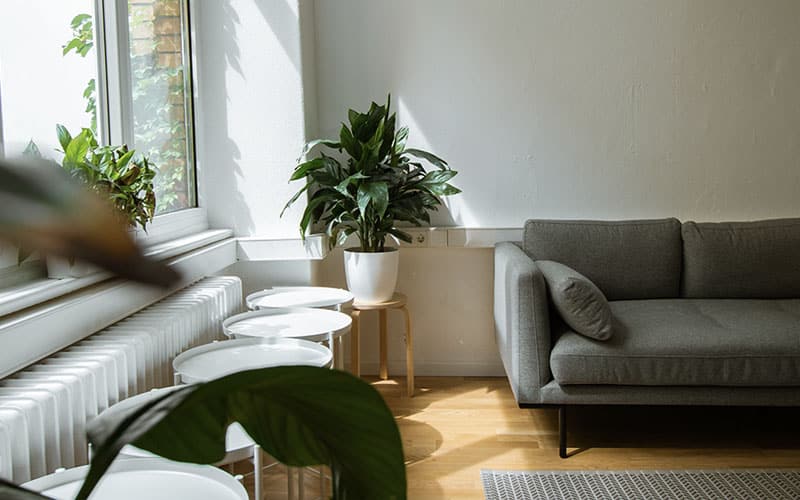 Reno Rental Cleaning Reno's Biggest Little Cleaning Company