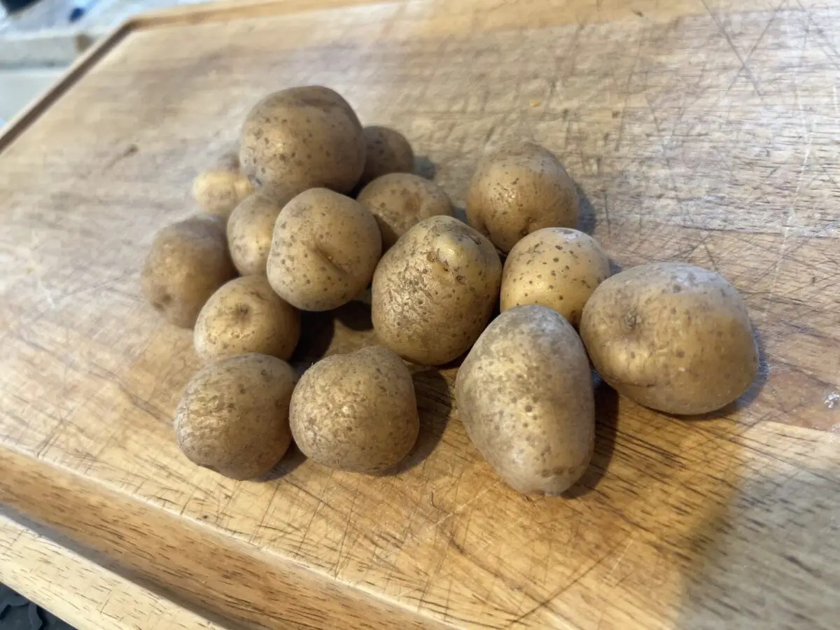 Can you Put Potatoes in the Dishwasher? BiggleBit