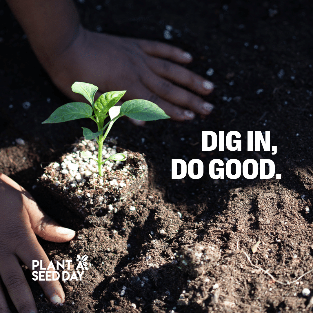 Plant a Seed Day Toolkit Big Green