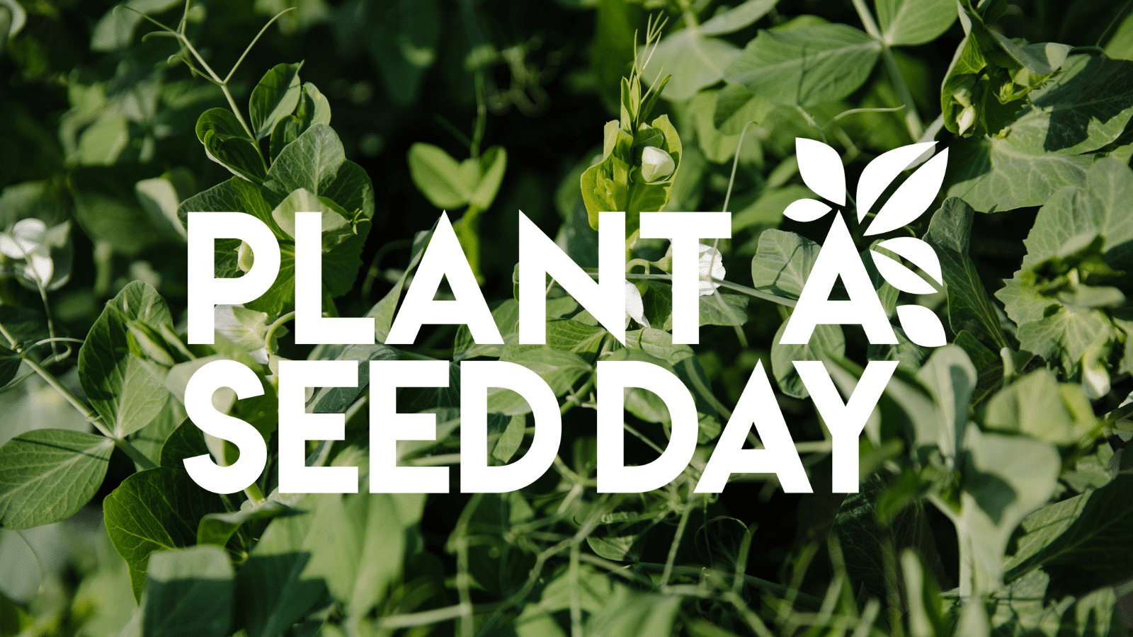 Plant a Seed Day Toolkit Big Green