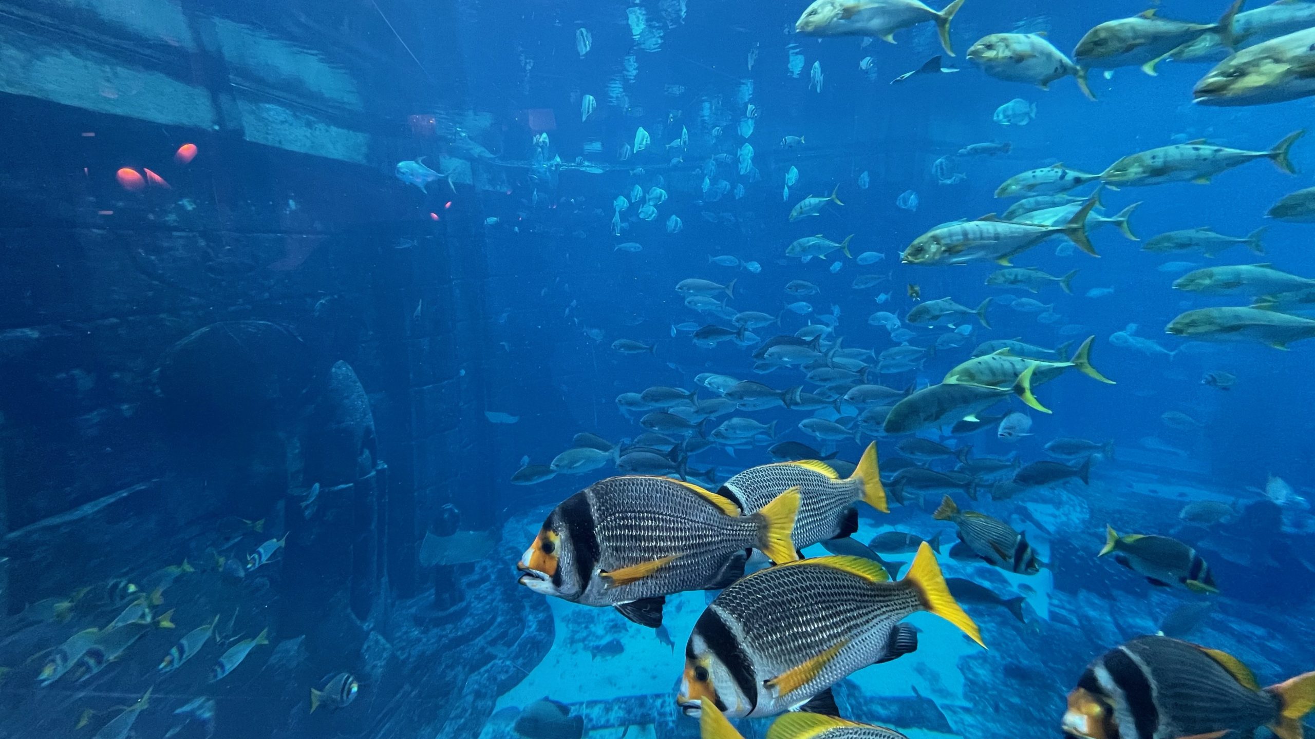 Atlantis Suite An Underwater Experience