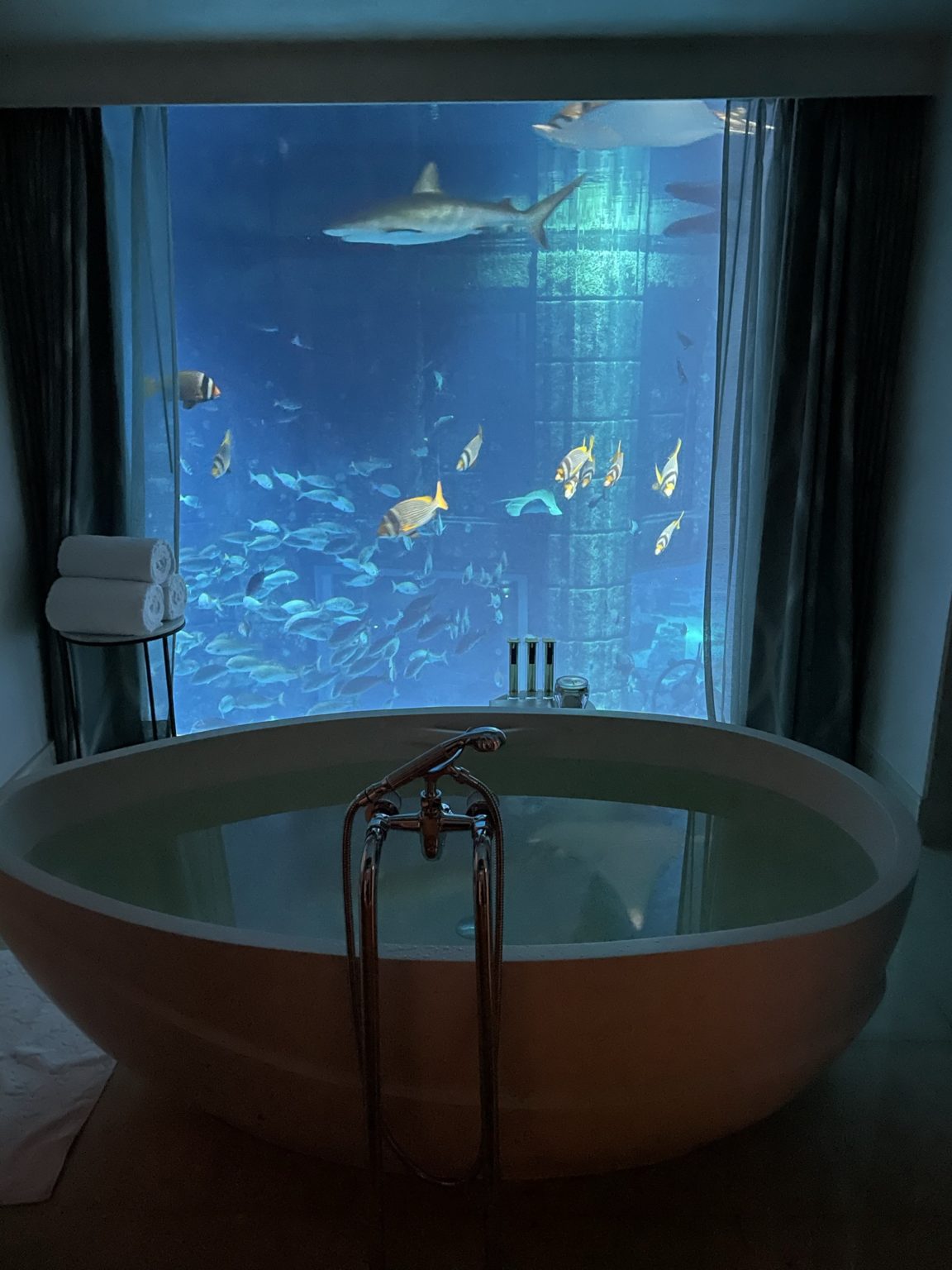 Atlantis Suite An Underwater Experience