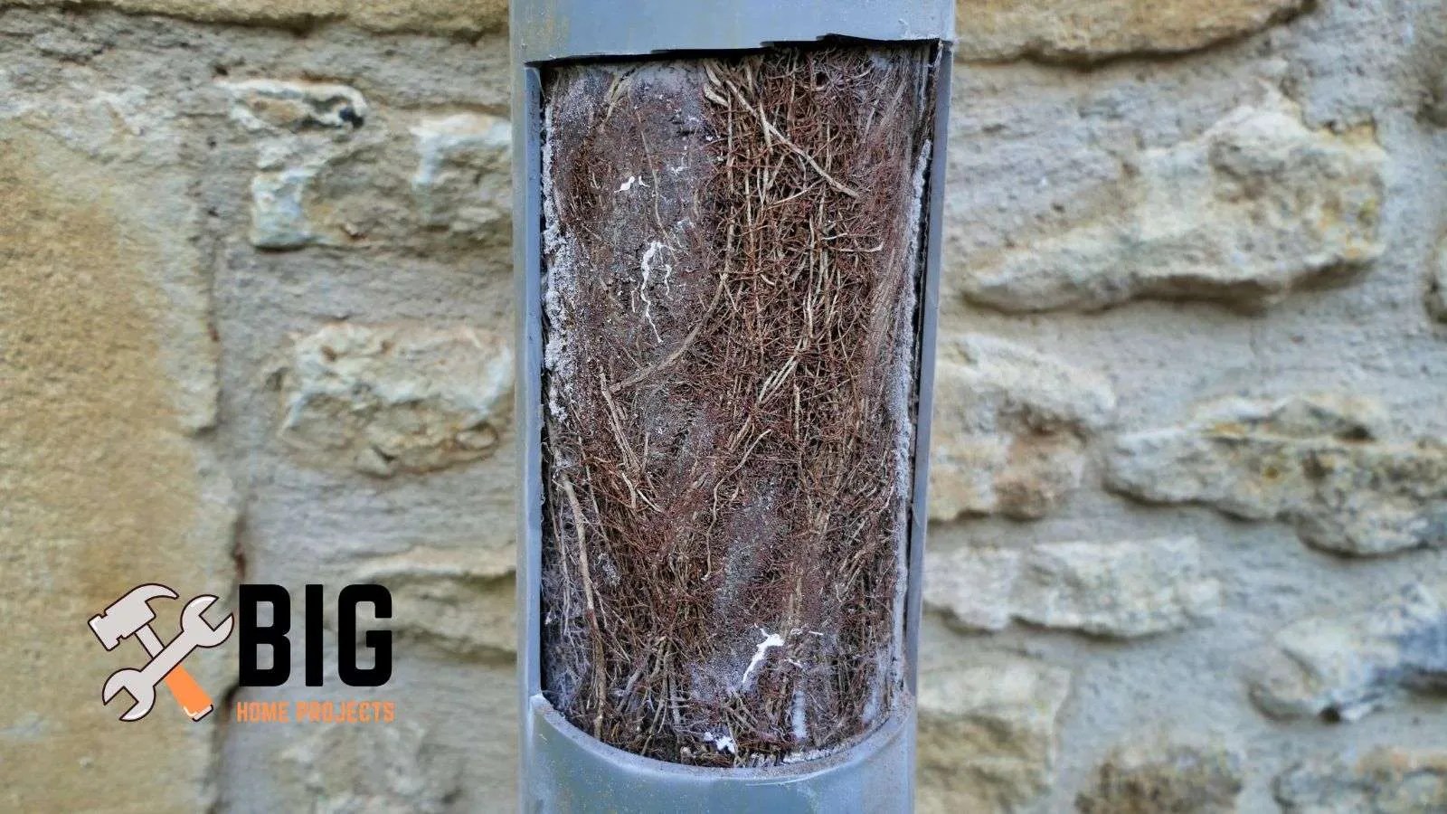 How to Stop Tree Root Pipe Clogs 10 Expert Tips Big Home Projects