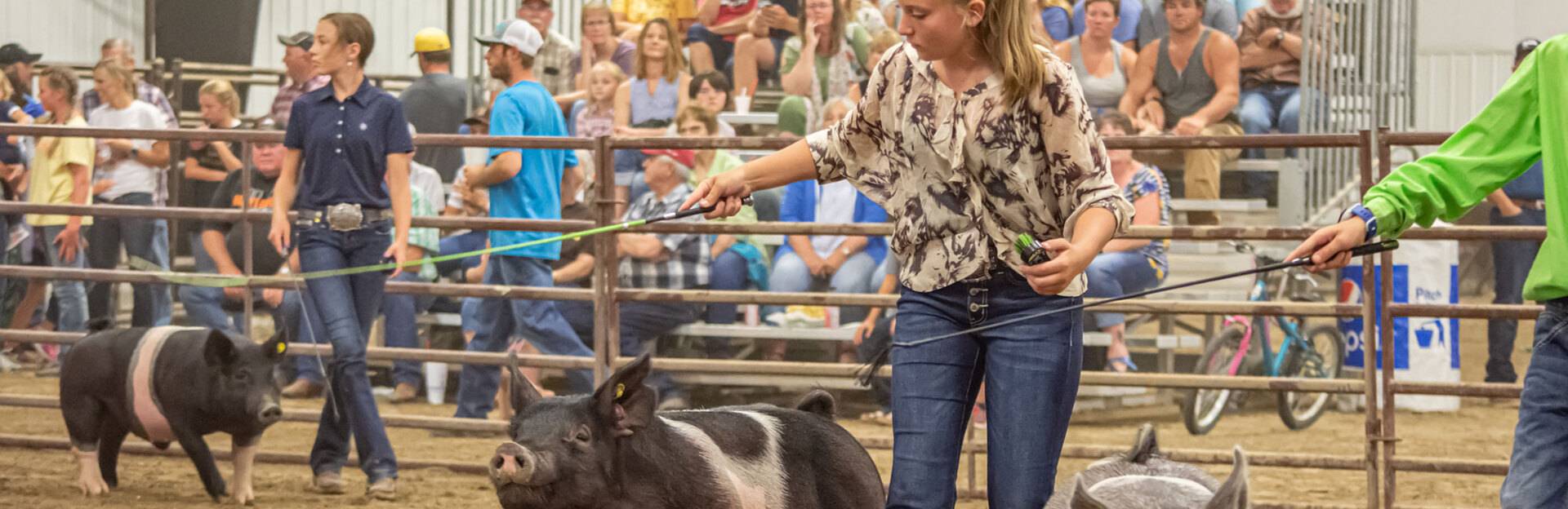 Big Horn County Fair Basin, Wyoming