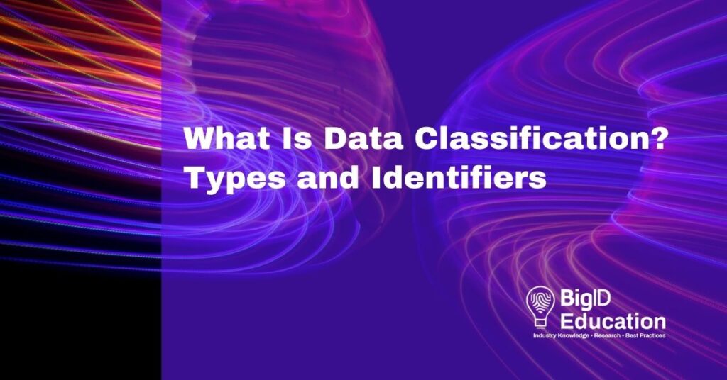 What Is Data Classification? Types and Identifiers BigID