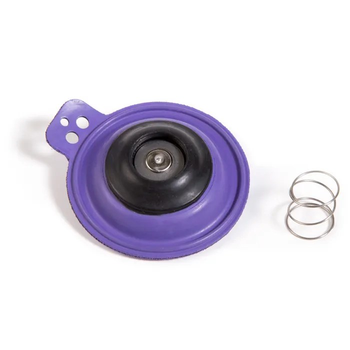 Rain Bird 202868 Diaphragm Assembly Repair Kit for 100 EFA Valves