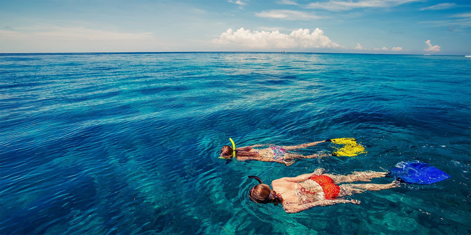 5 Spots with the Best Snorkeling on the Big Island Big Island Guide
