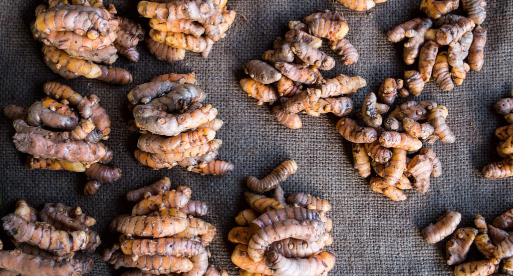 Lāʻau Lapaʻau Five Important Medicinal Hawaiian Plants Big Island Pulse