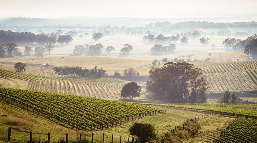 Free Camps In The Hunter Valley Everything You Should Know