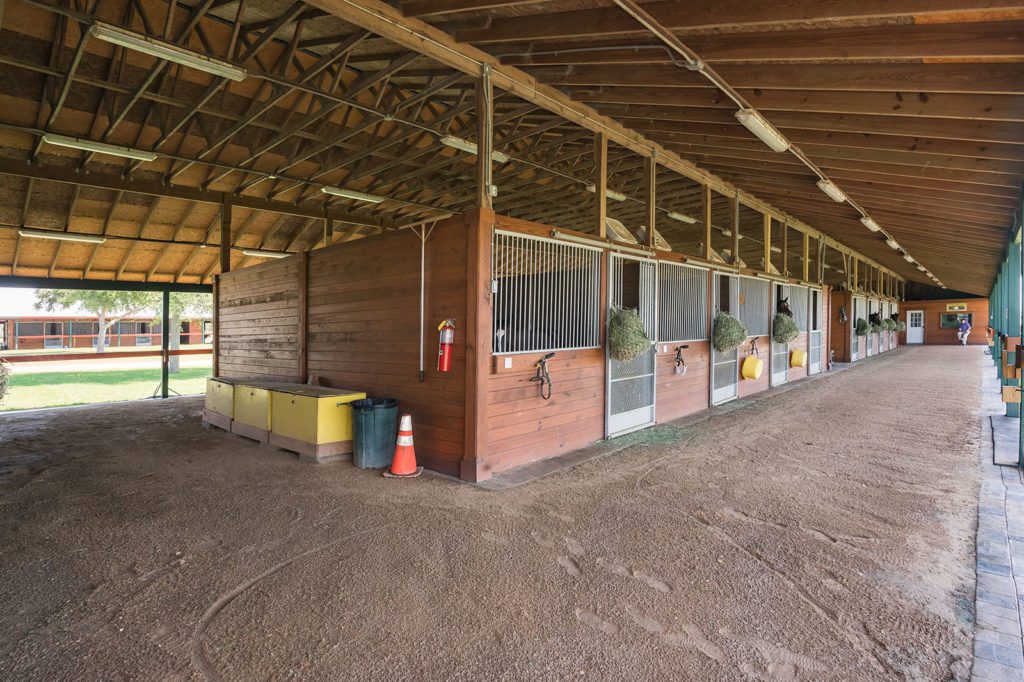 Thoroughbred Stall Rental Designed with Trainers in Mind
