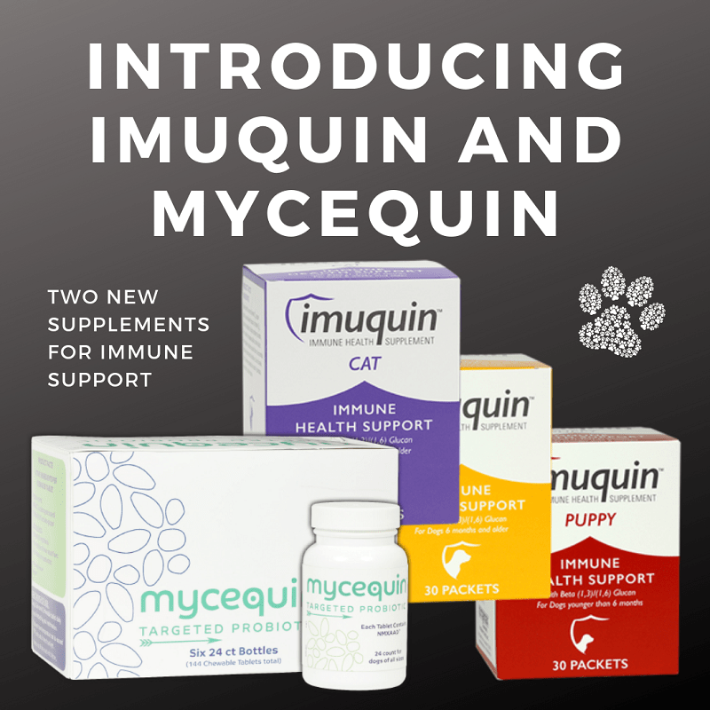 Imuquin and Mycequin Two New Supplements For Immune Support Big