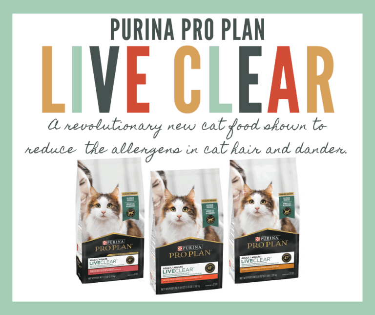New Purina Diet Could Be A Game Changer For People With Allergies To Cats Big Lick Veterinary