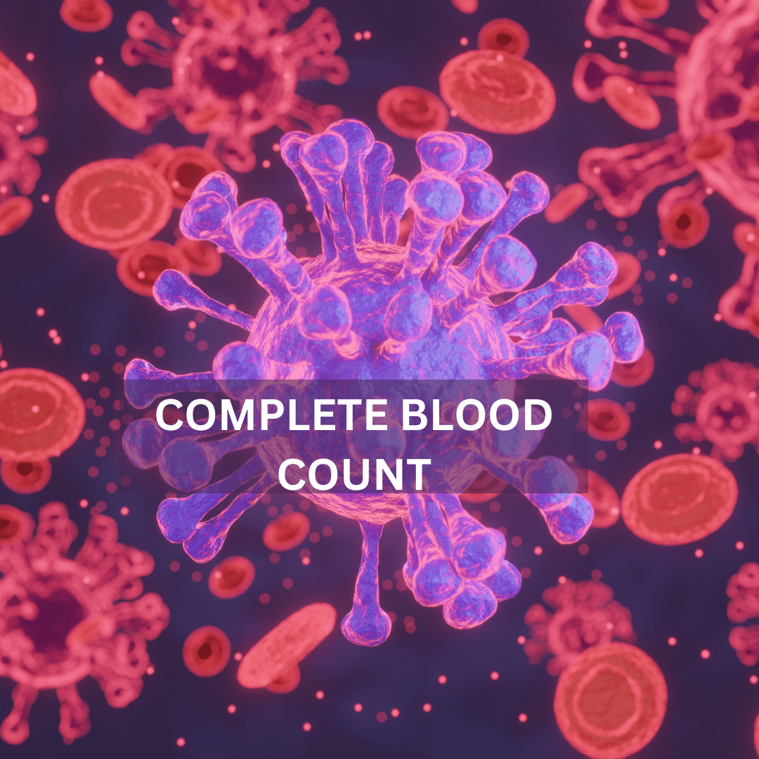 Best Complete Blood Count (CBC) Test Guide bigman lab