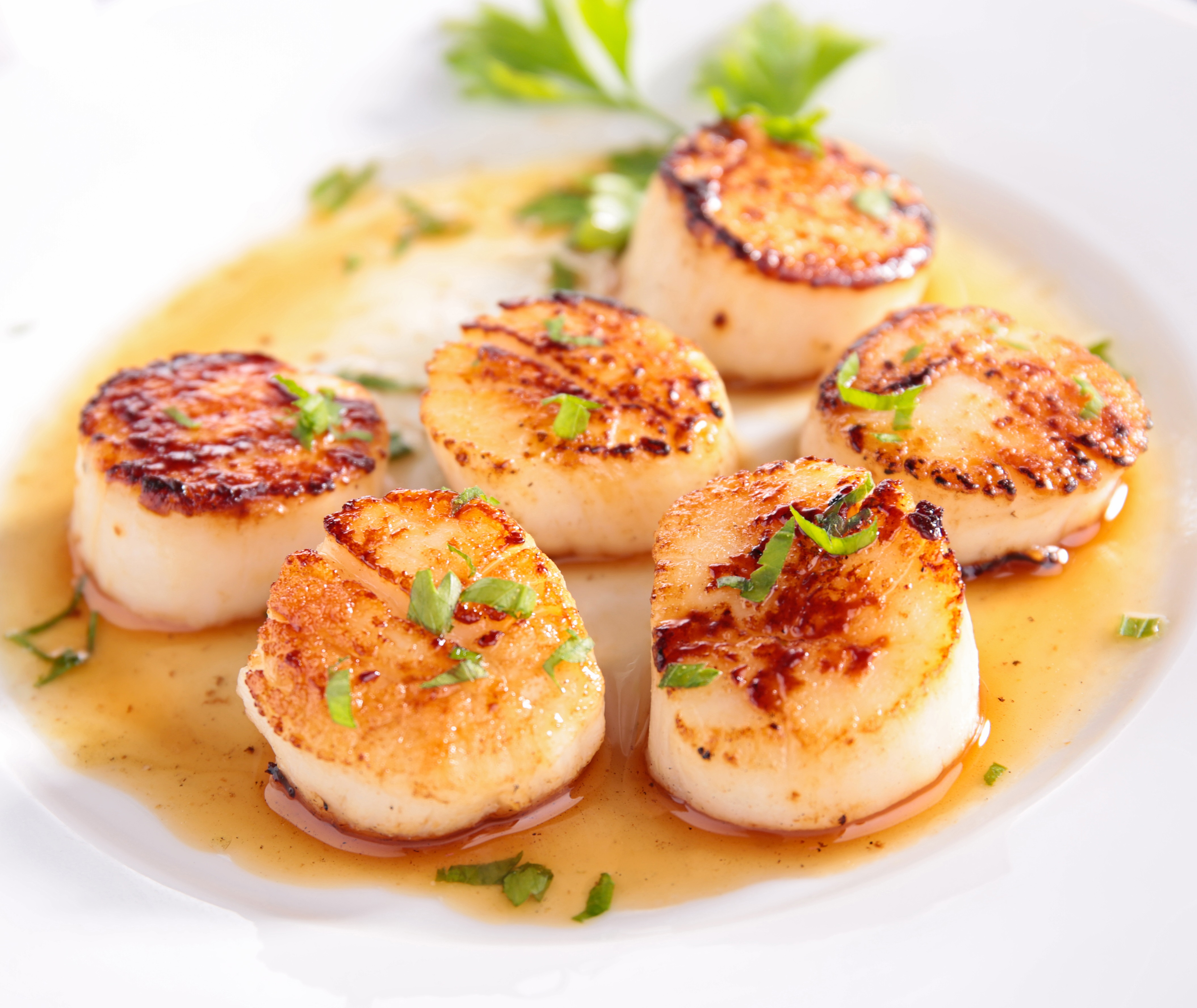 Seared White Wine Scallops BigOven