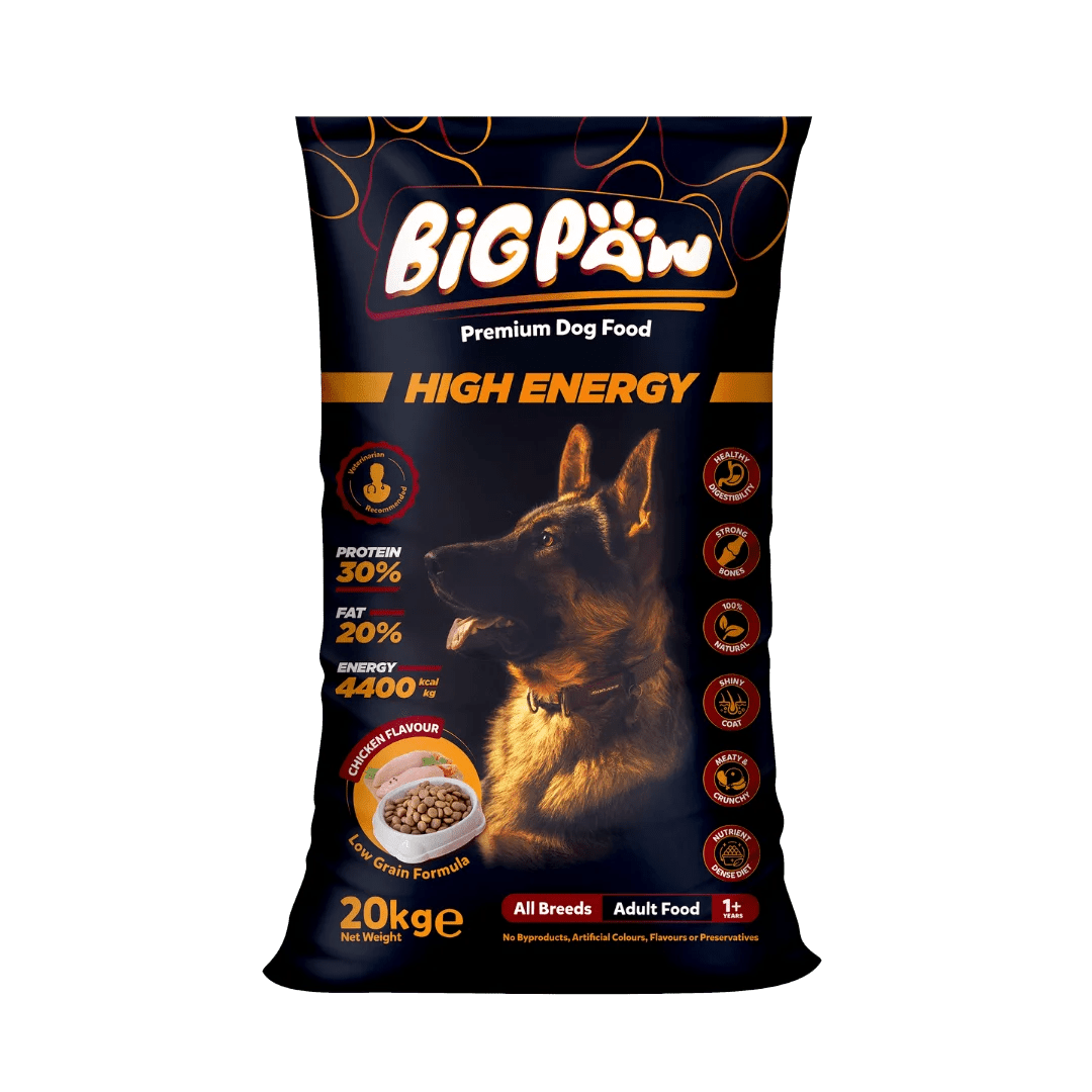 Buy Best Dog Food Online in Pakistan at BigPaw