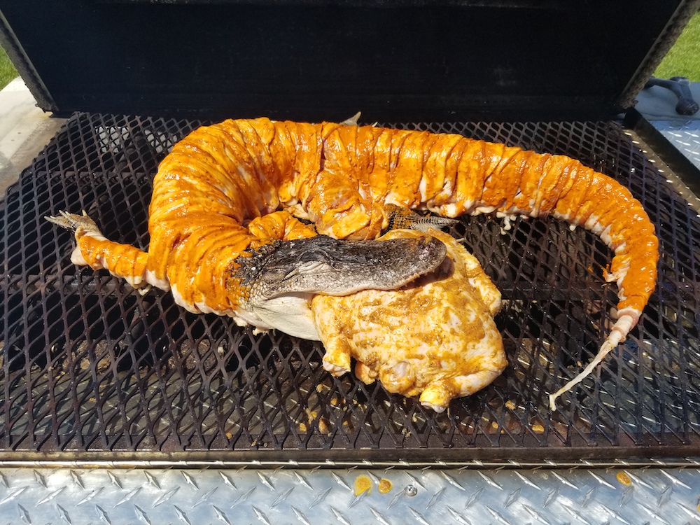 Fried Alligator