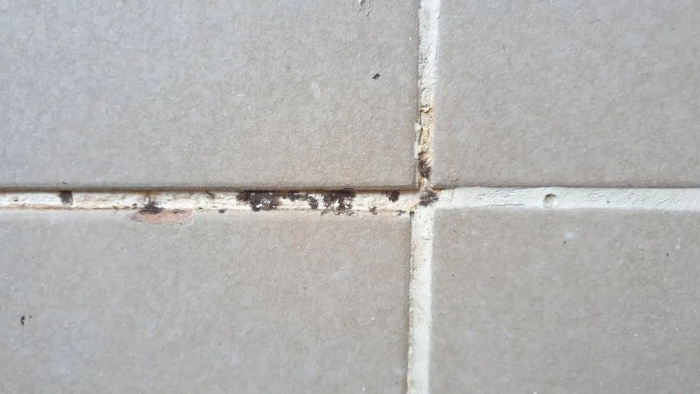 Tile & Grout Cleaning Big Red Restorations