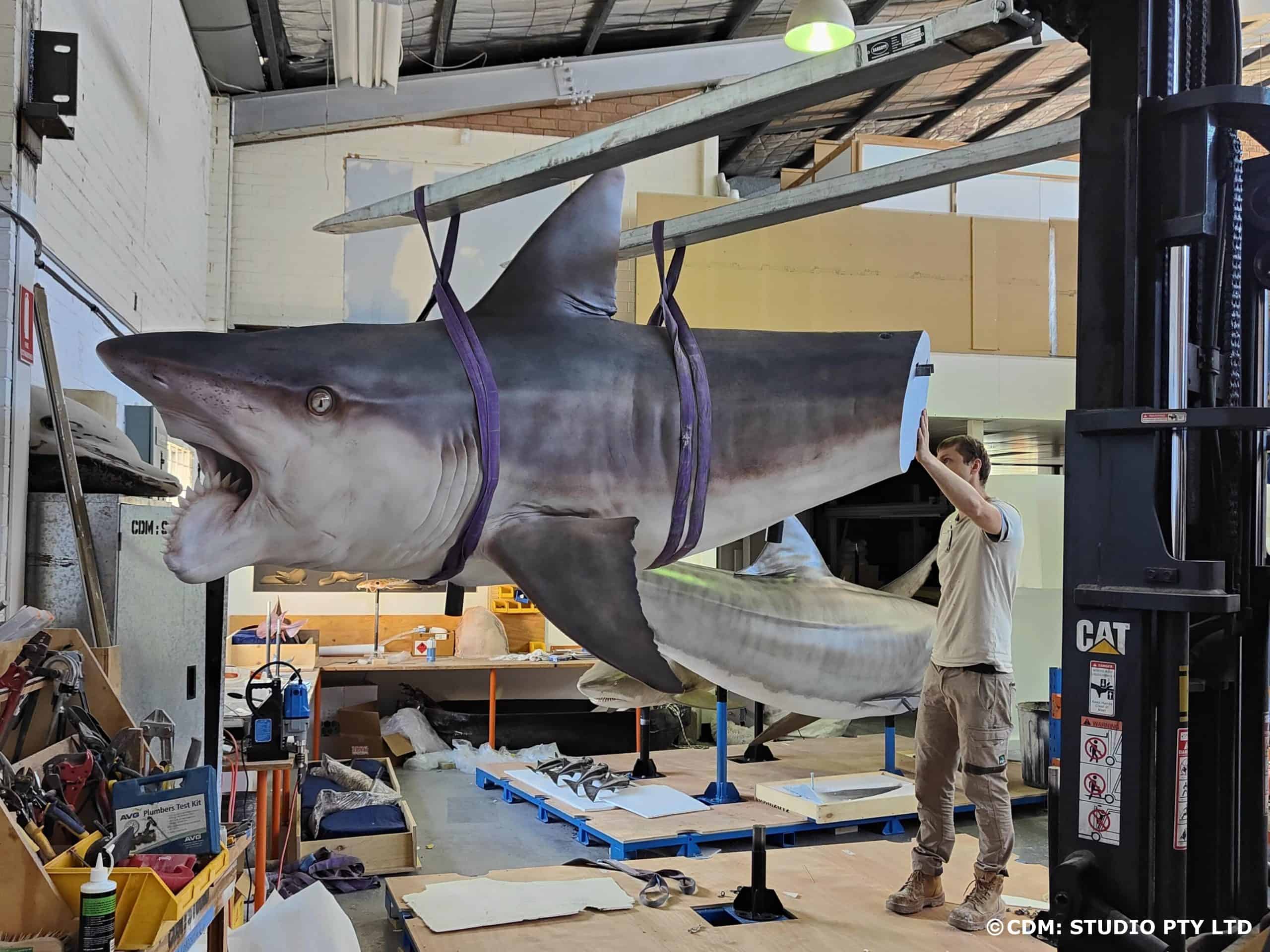 CDMStudio on Creating LargeScale Shark Models BigRep