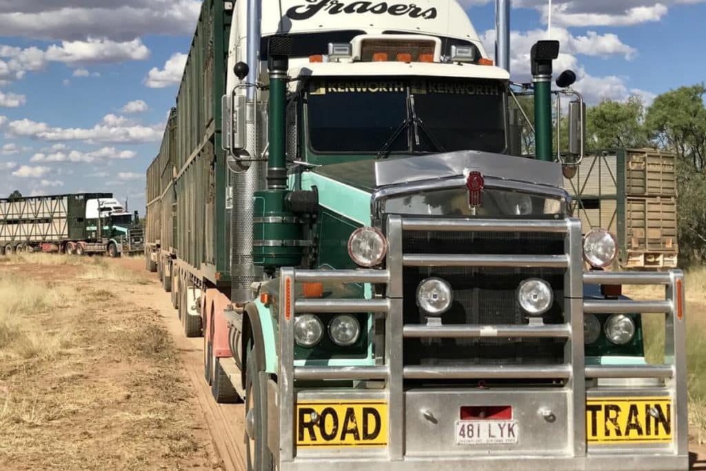 Livestock handling training courses in Goondiwindi Big Rigs