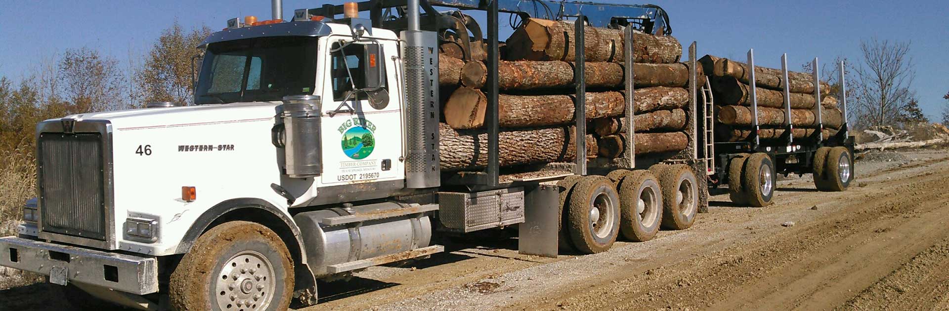 Select Timber Harvest Big River Timber Co.