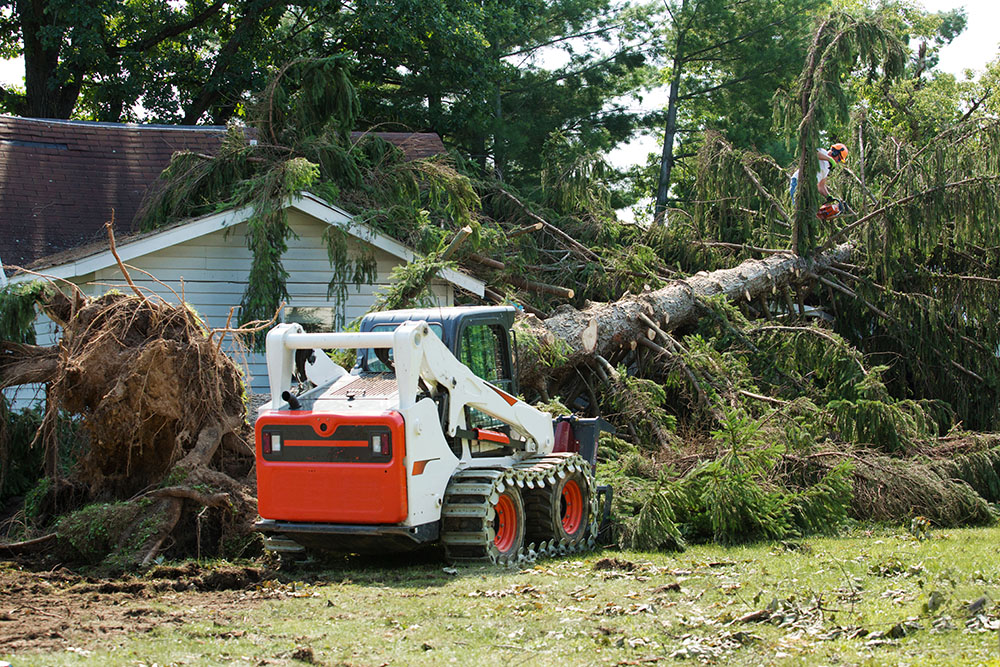 Big R tree service Suffolk County NY
